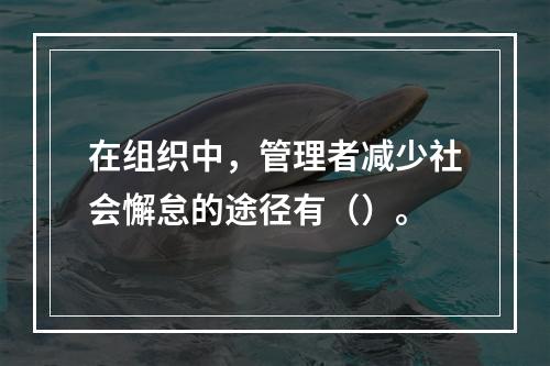 在组织中，管理者减少社会懈怠的途径有（）。