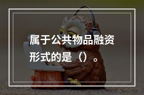 属于公共物品融资形式的是（）。