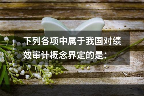 下列各项中属于我国对绩效审计概念界定的是：