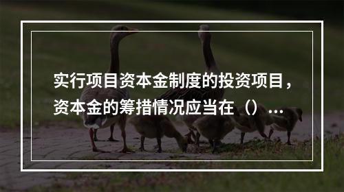 实行项目资本金制度的投资项目，资本金的筹措情况应当在（）中做