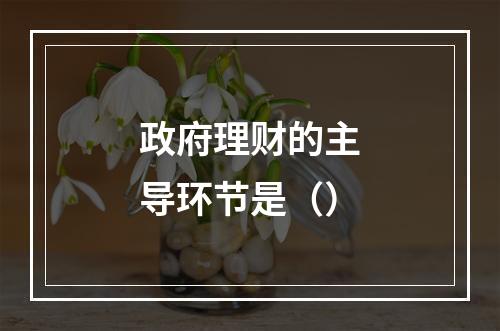 政府理财的主导环节是（）