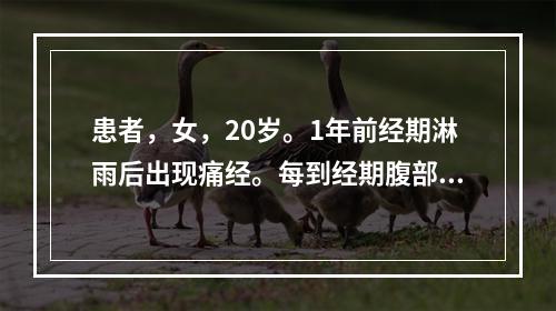 患者，女，20岁。1年前经期淋雨后出现痛经。每到经期腹部疼