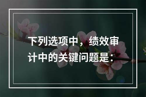 下列选项中，绩效审计中的关键问题是：