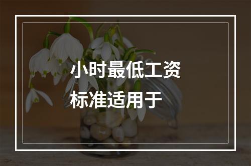 小时最低工资标准适用于