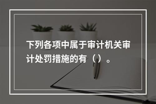 下列各项中属于审计机关审计处罚措施的有（ ）。