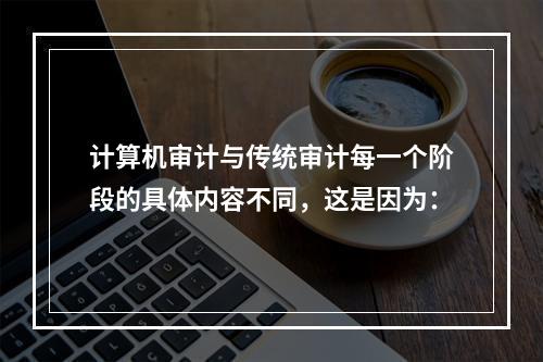 计算机审计与传统审计每一个阶段的具体内容不同，这是因为：