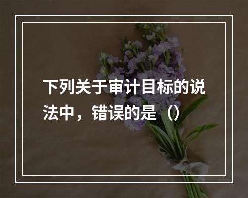 下列关于审计目标的说法中，错误的是（）