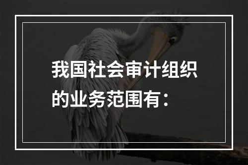 我国社会审计组织的业务范围有：