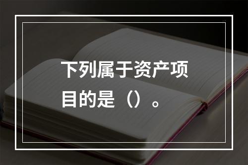 下列属于资产项目的是（）。