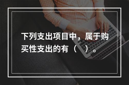 下列支出项目中，属于购买性支出的有（　）。