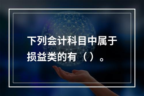 下列会计科目中属于损益类的有（ ）。