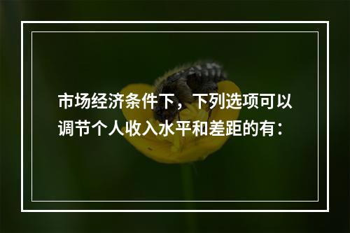 市场经济条件下，下列选项可以调节个人收入水平和差距的有：