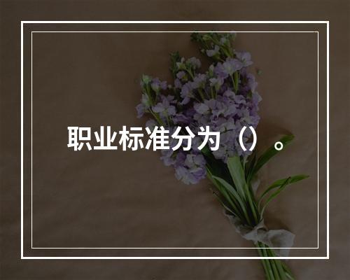 职业标准分为（）。