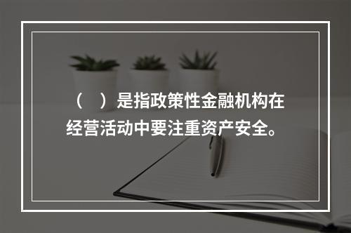 （　）是指政策性金融机构在经营活动中要注重资产安全。