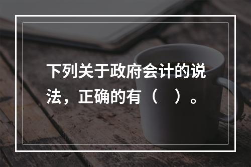 下列关于政府会计的说法，正确的有（　）。