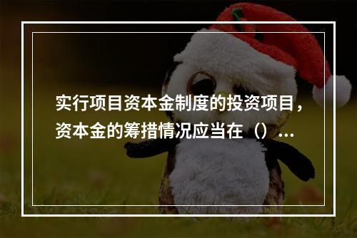 实行项目资本金制度的投资项目，资本金的筹措情况应当在（）中做