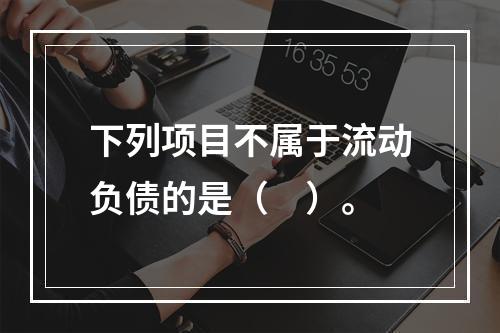 下列项目不属于流动负债的是（　）。