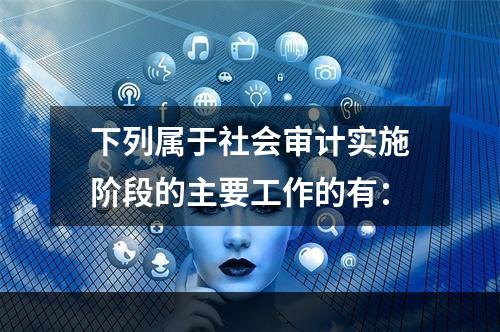 下列属于社会审计实施阶段的主要工作的有：