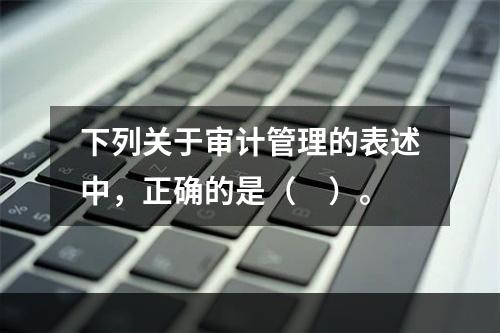 下列关于审计管理的表述中，正确的是（　）。