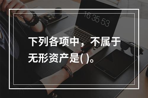 下列各项中，不属于无形资产是( )。