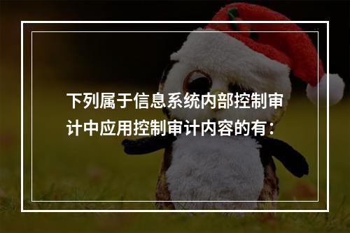 下列属于信息系统内部控制审计中应用控制审计内容的有：