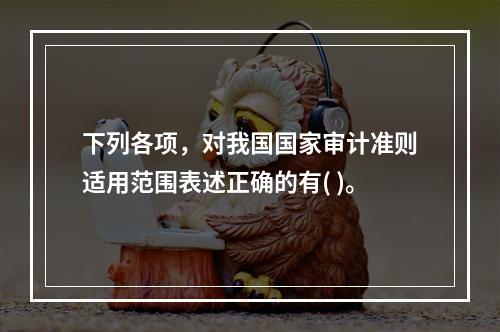 下列各项，对我国国家审计准则适用范围表述正确的有( )。