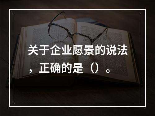 关于企业愿景的说法，正确的是（）。