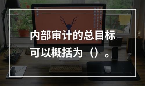 内部审计的总目标可以概括为（）。