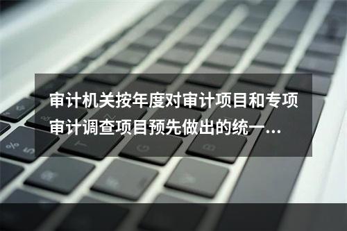 审计机关按年度对审计项目和专项审计调查项目预先做出的统一安排