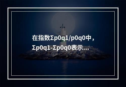 在指数Σp0q1/p0q0中，Σp0q1-Σp0q0表示（）