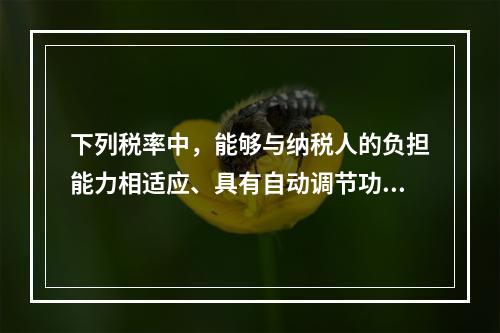 下列税率中，能够与纳税人的负担能力相适应、具有自动调节功能可