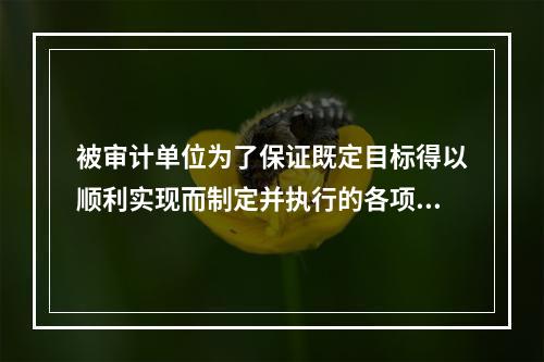 被审计单位为了保证既定目标得以顺利实现而制定并执行的各项控制