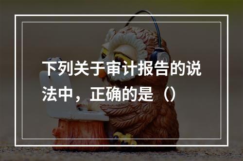 下列关于审计报告的说法中，正确的是（）