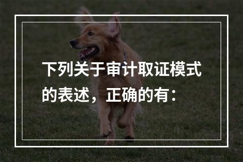 下列关于审计取证模式的表述，正确的有：