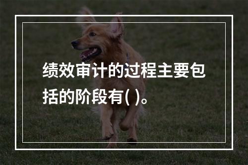 绩效审计的过程主要包括的阶段有( )。