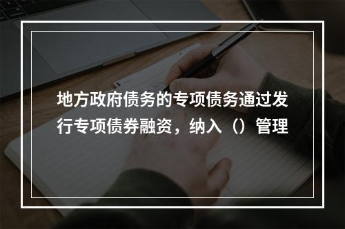 地方政府债务的专项债务通过发行专项债券融资，纳入（）管理