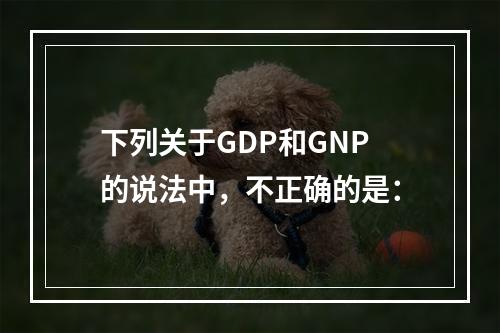 下列关于GDP和GNP的说法中，不正确的是：