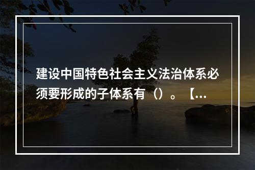 建设中国特色社会主义法治体系必须要形成的子体系有（）。【20