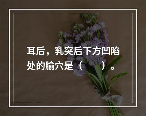 耳后，乳突后下方凹陷处的腧穴是（　　）。