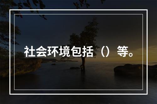 社会环境包括（）等。