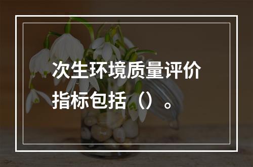 次生环境质量评价指标包括（）。