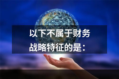 以下不属于财务战略特征的是：