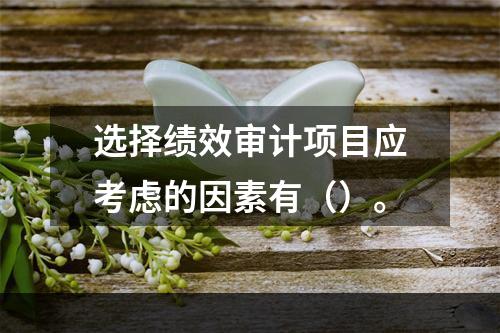 选择绩效审计项目应考虑的因素有（）。