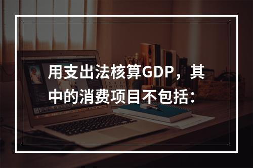 用支出法核算GDP，其中的消费项目不包括：