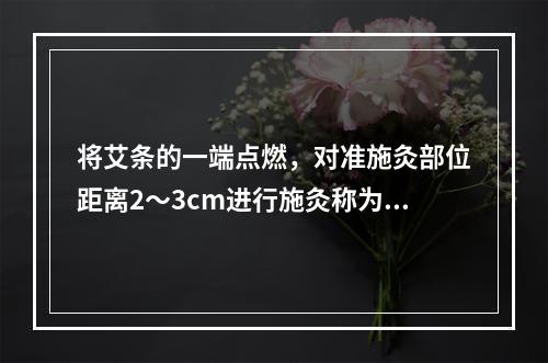 将艾条的一端点燃，对准施灸部位距离2～3cm进行施灸称为（　