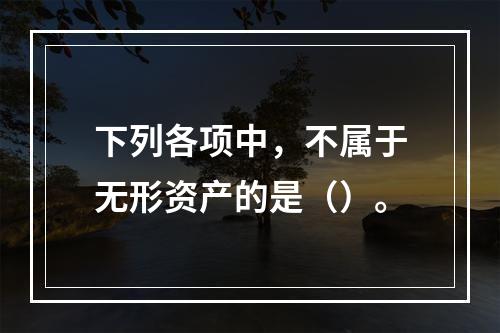 下列各项中，不属于无形资产的是（）。