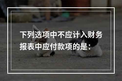 下列选项中不应计入财务报表中应付款项的是：