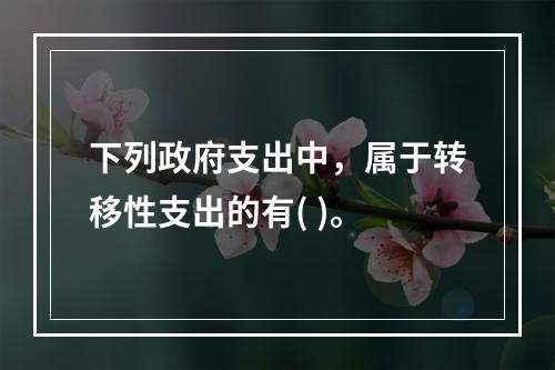 下列政府支出中，属于转移性支出的有( )。