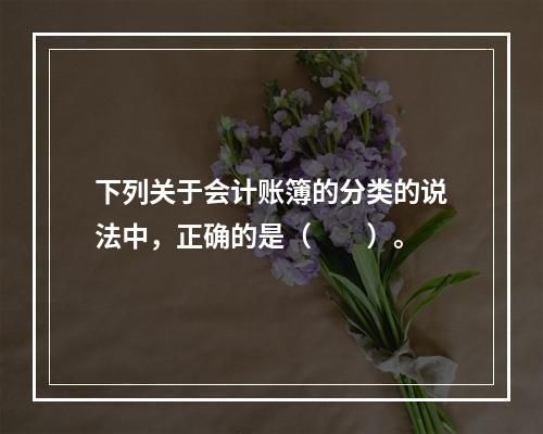 下列关于会计账簿的分类的说法中，正确的是（　　）。