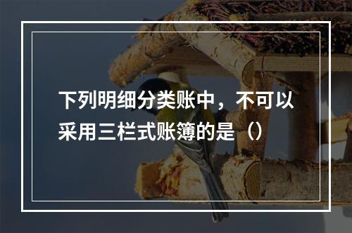 下列明细分类账中，不可以采用三栏式账簿的是（）